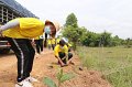 20210526-Tree planting dayt-044